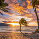Image for article titled Sun Setting Over Tropical Beach Kind Of Beautiful In Its Own Way